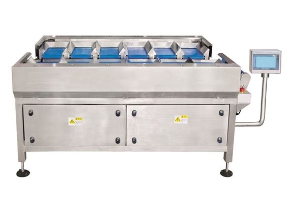 12 automatischer Multihead Hauptwäger