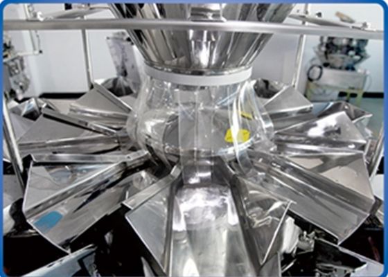 Haupt-Multihead Wäger der Imbiss-2.5L des Trichter-300g 10